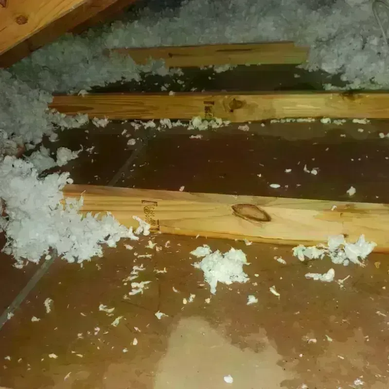 Attic Water Damage in Gilmer, TX