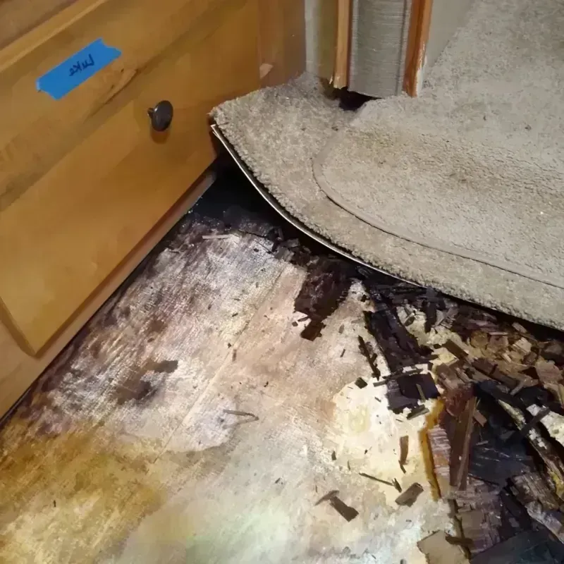 Best Wood Floor Water Damage Service in Gilmer, TX